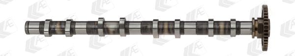 BMW N47 EGZOST EKSANTRİK MİLİ 11318509119 - Yedek Parça