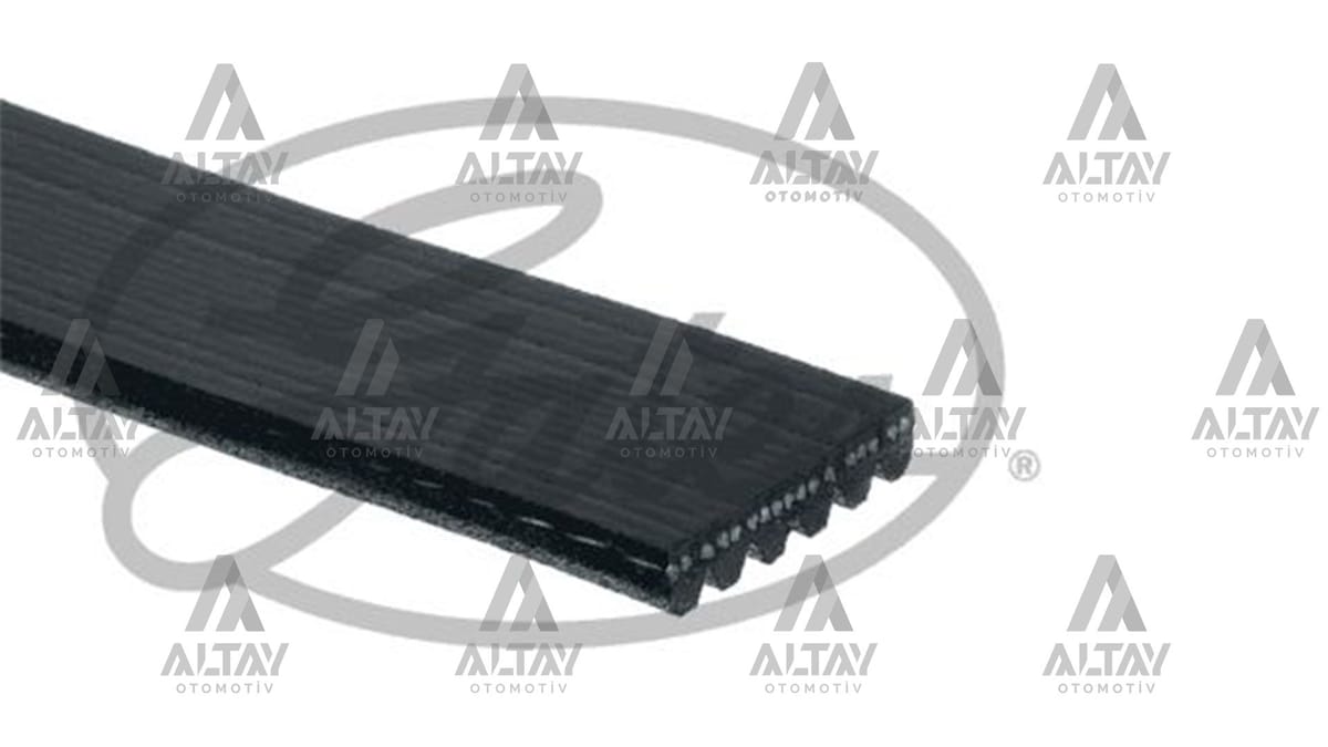 KANALLI KAYIŞ OPEL / VECTRA A B 2.5 2.6 OMEGA B MERCEDES / SPRINTER 2T 3T 4T 95-00 - Yedek Parça