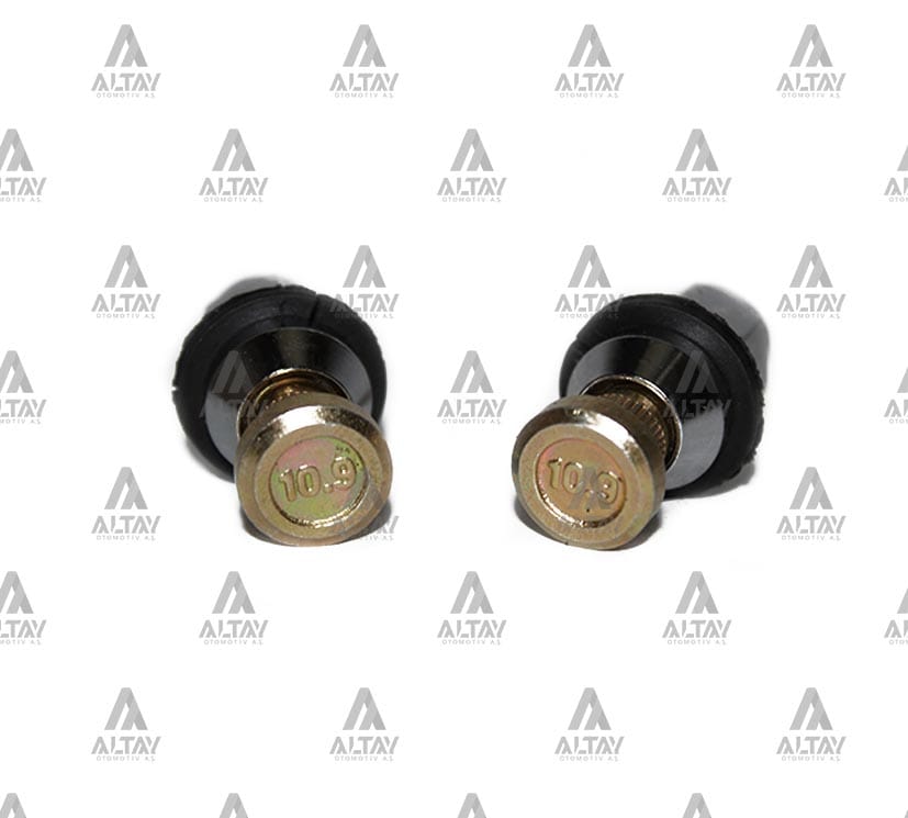 BİJON SOMUNLU CIVIC FİBERLİ