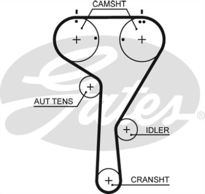 GOLF7-PASSAT-POLO-A3-LEON-OCTAVIA TRİGER KAYIŞI 13- - Yedek Parça