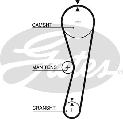 BMW E34-E36-E39 BENZİNLİ KLİMA KAYIŞI 1726690 - Yedek Parça